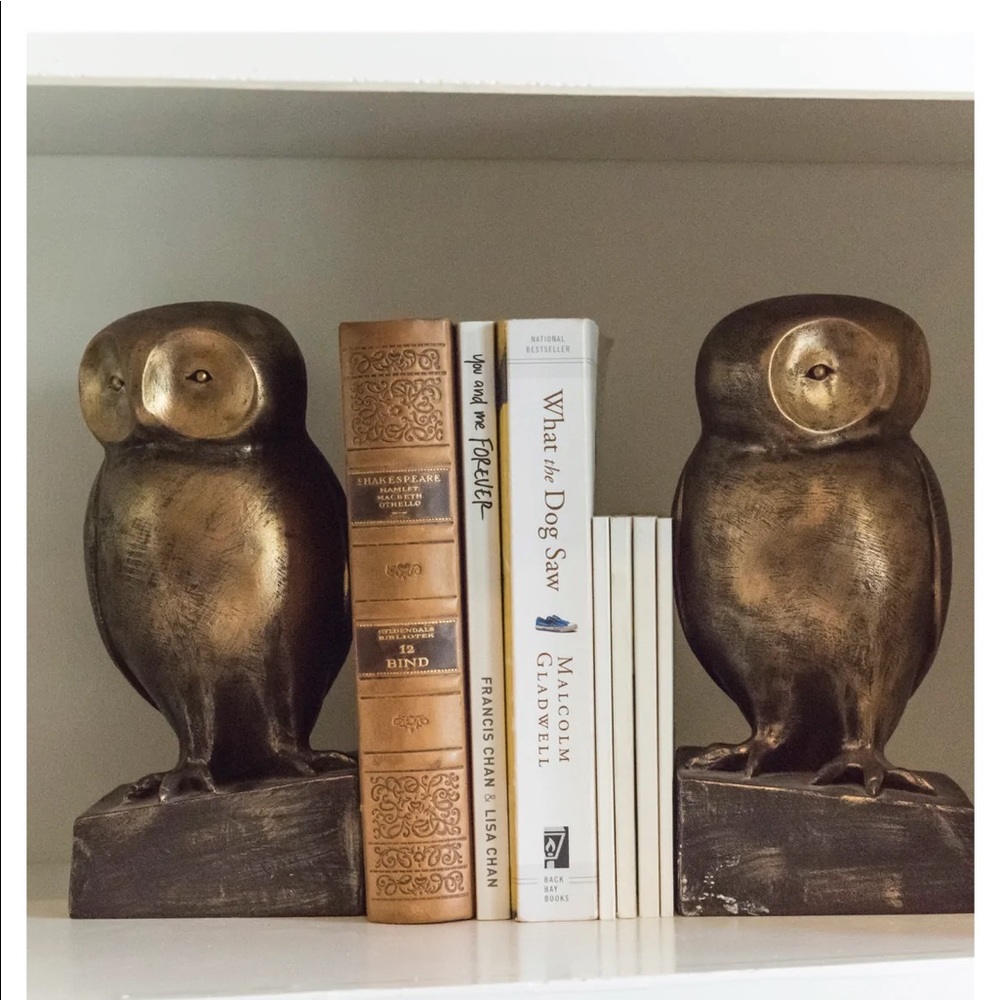 Anthropologie Wise Owl Bookends